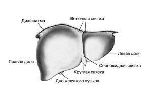 вакансии жигулевск